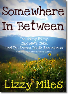 Somewhere In Between: The Hokey Pokey, Chocolate Cake, and The Shared Death Experience Lizzy Miles