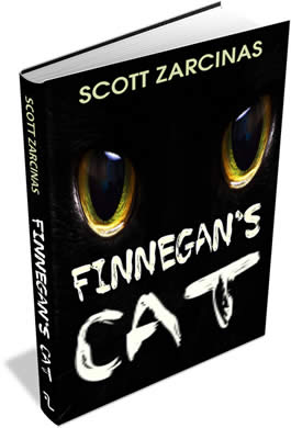 Finnegan's Cat by Scott Zarcinas