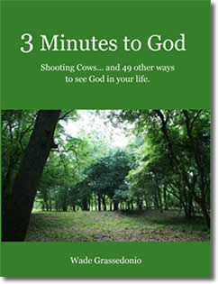 3 Minutes to God - Shooting Cows...and 49 other ways to see God in your Life! by Wade Grassedonio