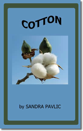 Cotton by Sandra Pavlic
