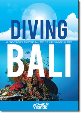 Diving Bali by Stefan Russel