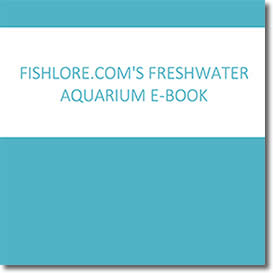 FishLore's Freshwater Aquarium Book by Mike Fishlore