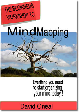 The Beginners Workshop To Mind Mapping by David oneal