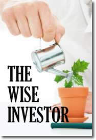 The Wise Investor by Mark McIlroy