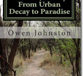 Moonlit Journey A Poetic Quest from Urban Decay to Paradise