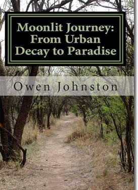 Moonlit Journey A Poetic Quest from Urban Decay to Paradise