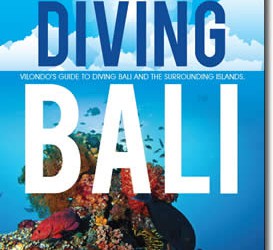 Diving Bali