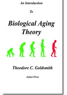 An Introduction to Biological Aging Theory