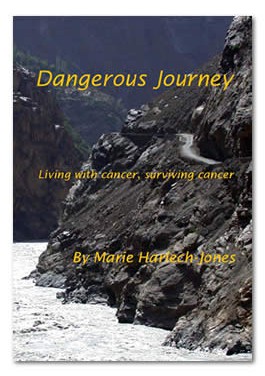 Dangerous Journey