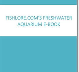 FishLore’s Freshwater Aquarium Book