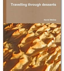 Travelling Through Desserts