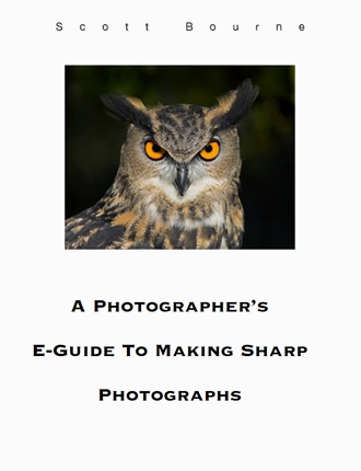 Click here to read / download - A Photographer's e-Guide to Making Sharp Photographs