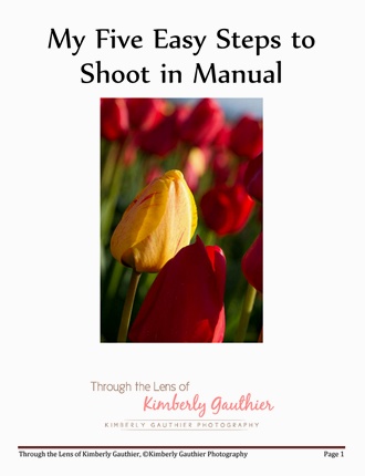 Click here to read / download - My Five Easy Steps to Shoot in Manual