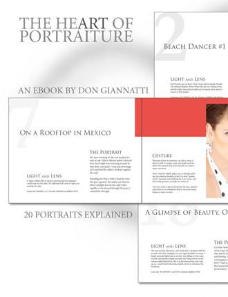 Click here to read / download - The Heart of Portraiture: 20 Portraits Discussed