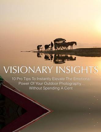 Click here to read / download - Visionary Insight 