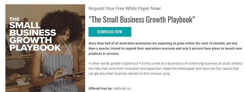 The Small Business Growth Playbook by NetSuite Inc. 