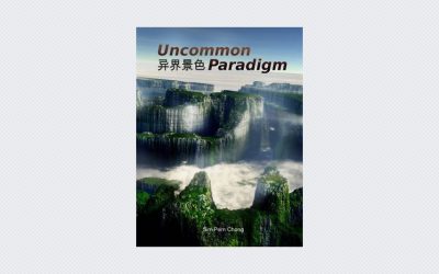 Uncommon Paradigm