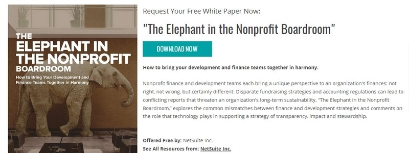 The Elephant in the Nonprofit Boardroom by NetSuite Inc. 