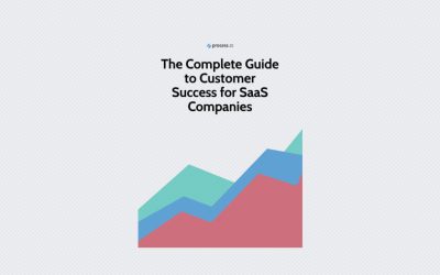 Complete Guide to Customer Success for SaaS Companies