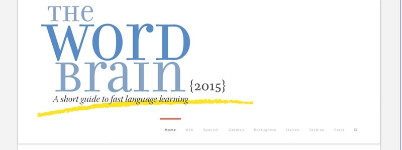 The Word Brain: A Short Guide to Fast Language Learning by Bernd Sebastian Kamps