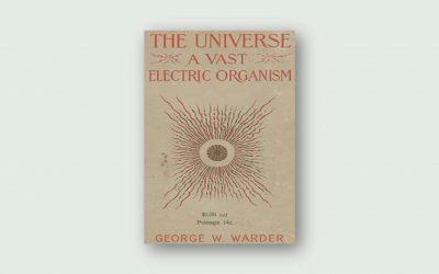 The Universe A Vast Electric Organism